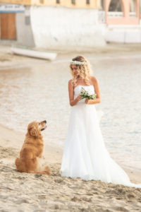cani al matrimonio- Dog Special Guest